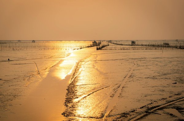 Votre voyage sur mesure : l'agence de voyage à Lyon à découvrir