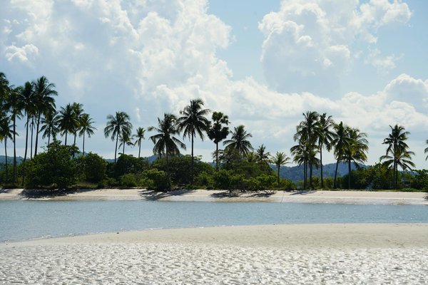 Location vélo Île de ré : guides et conseils pour louer malin