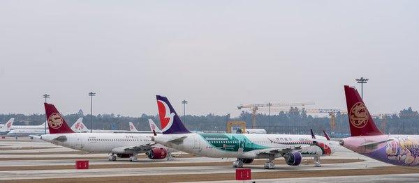 Plongée au Cœur de la Faune Africaine : Maîtrisez l'Art du Respect et de la Compréhension des Animaux Sauvages