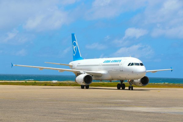 Plongez dans la Magie : Réservez Votre Expérience aux Jardins Éblouissants de Giverny !